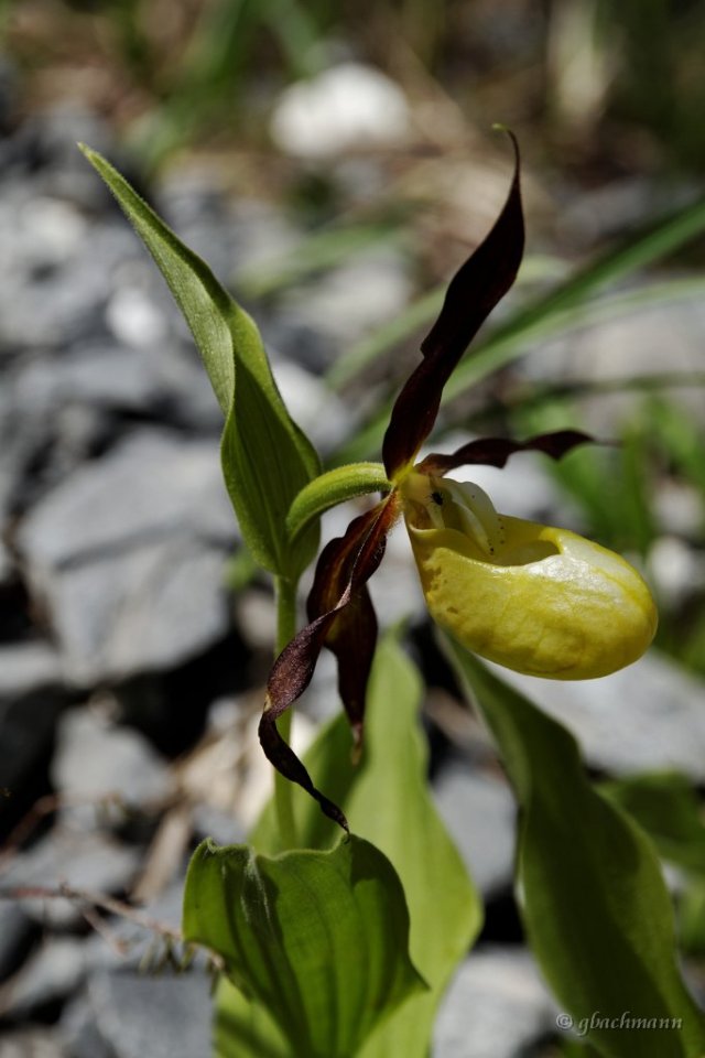 20120617_206